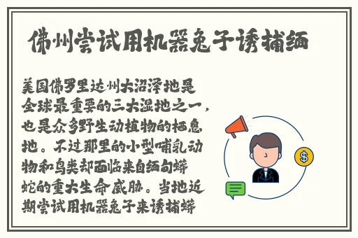英语课代表下面好软